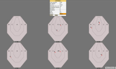 ПО для тира IPSC практической стрельбы 2